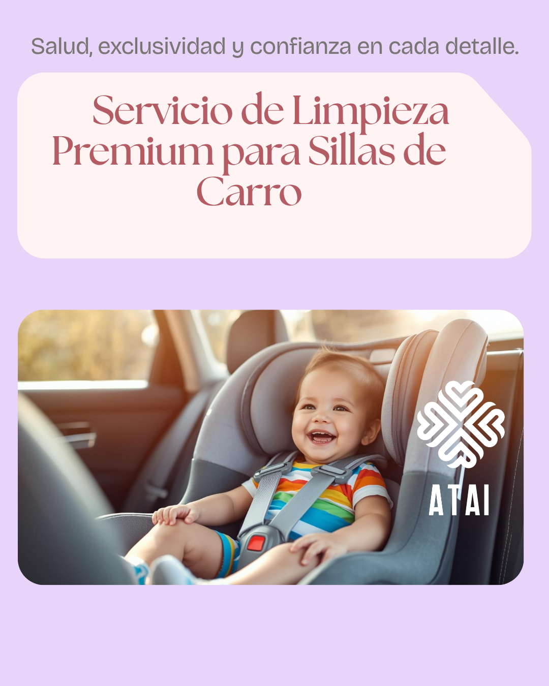 Servicio de Limpieza Premium Silla de Carro
