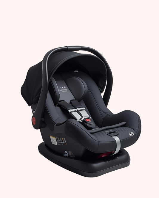 Silla de Carro / Car Seat